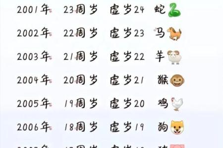 属龙女在本命年中的学习与成长