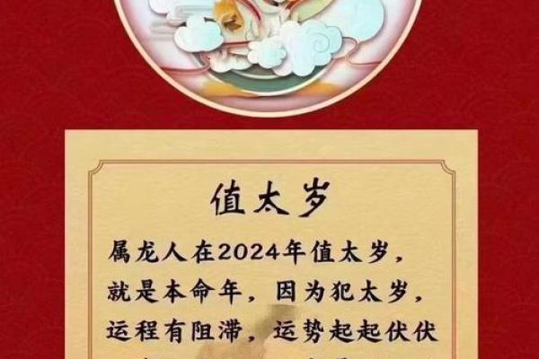 属龙人本命年如何从错误中学习