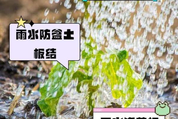 浇花童子命的意义与解读