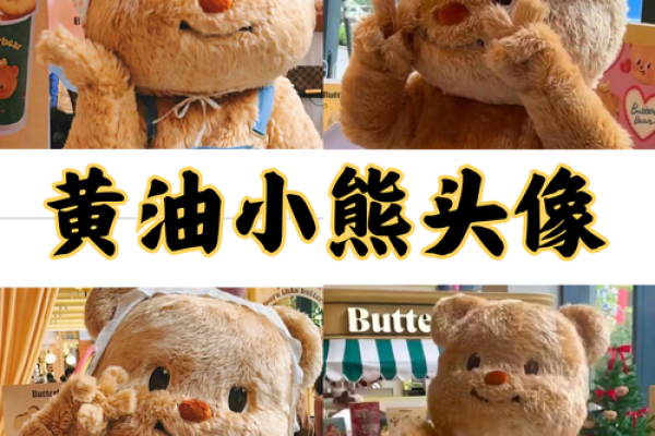 小熊名字灵感，给它一个与众不同的身份