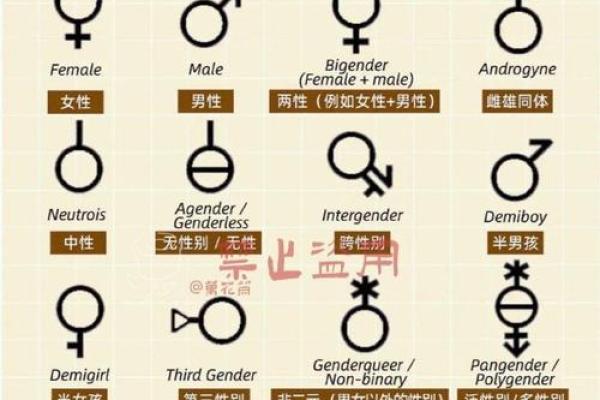 适合所有性别的独特名字推荐