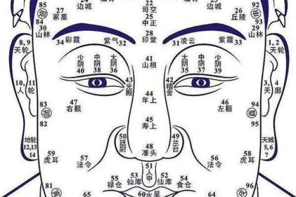 揭示双偶命的秘密：命理中的特殊配置