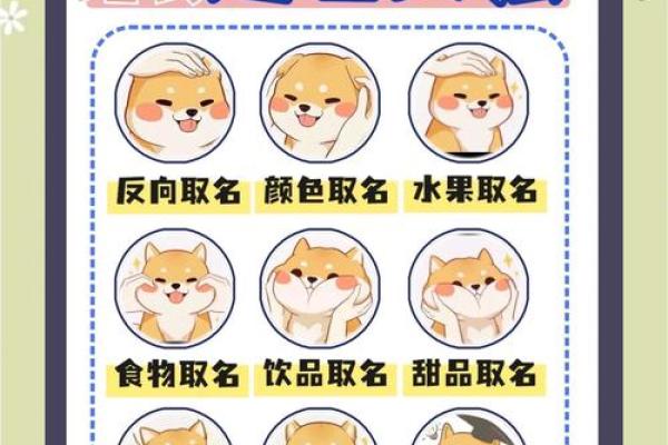 为属狗宝宝取名字的独特方法，助你找到最佳选择