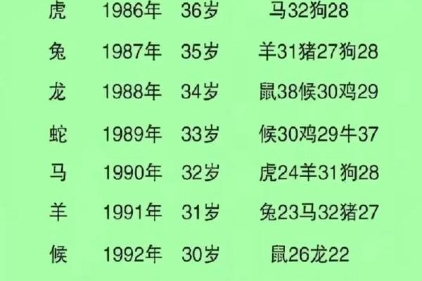 属龙男和属兔女的婚姻匹配度探讨