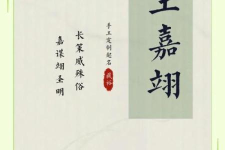 王姓女孩名字推荐：从经典到创新的灵感