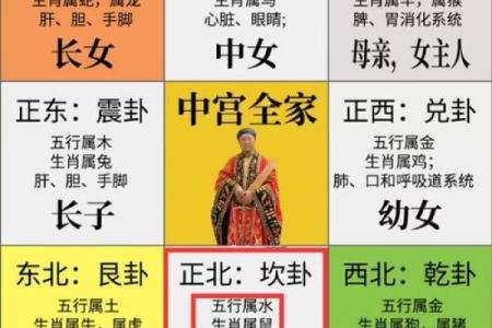 本命年属鼠的职业运势分析