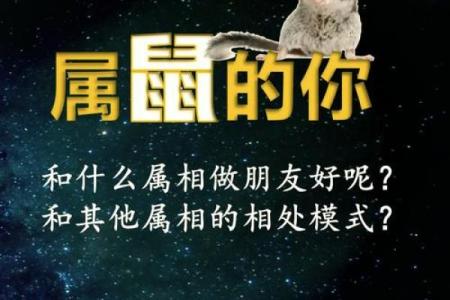 属猴与鼠的合适度分析