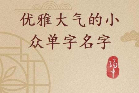 姓何的名字在传统与现代中的演变