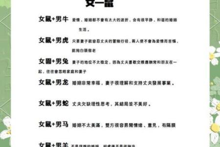属鼠男与属鸡女的婚姻匹配度分析