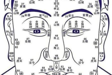 揭示双偶命的秘密：命理中的特殊配置