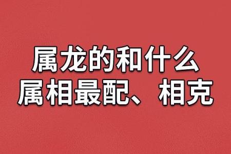 属龙男和属兔女的婚姻匹配度探讨