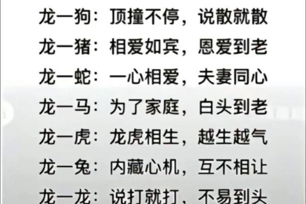 从生肖角度看牛狗配对的婚姻未来