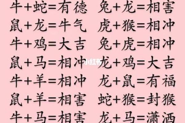 从生肖角度看牛狗配对的婚姻未来