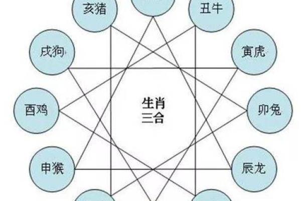 属猴本命年如何选择合适的合作伙伴 属猴本命年如何选择合适的合作伙伴