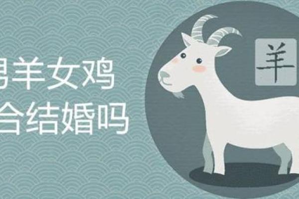 羊与哪些属相最相配，爱情与事业双赢的最佳搭档