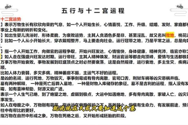 金命的定义与特点解析
