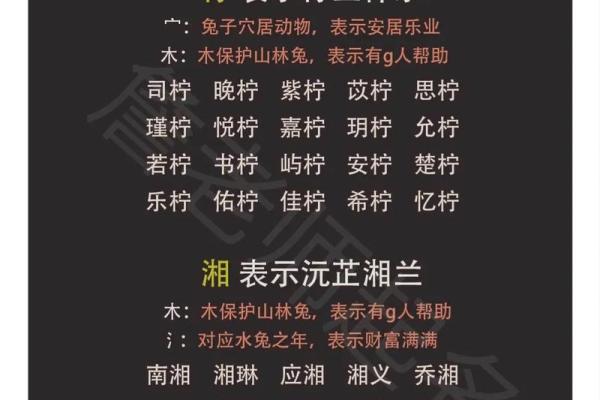 夏字名字的独特寓意与文化内涵解析