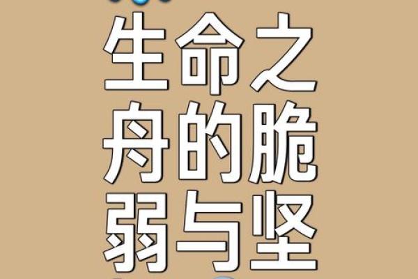 舟的名字如何影响航海文化