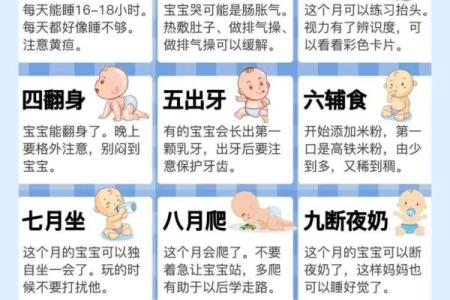 揭秘娃娃命的时间规律