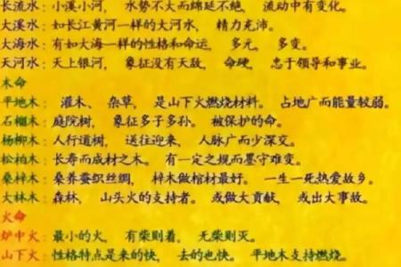 揭秘金命人的命运与性格特征
