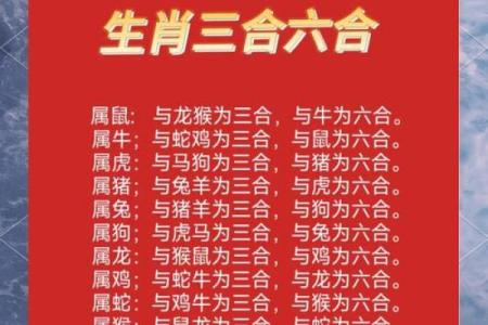 属猪与属兔相配度如何？解析两者的婚姻匹配