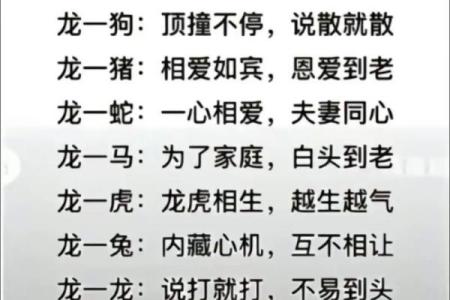 从生肖角度看牛狗配对的婚姻未来
