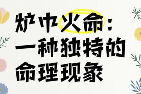 火如何命理解人炉如何中发挥火自身命优势人的