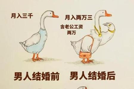 鸡蛇配婚姻关系：如何化解性格差异