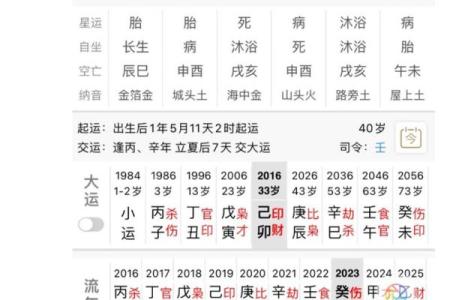 金命的定义与特点解析