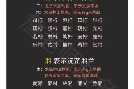 夏字名字的独特寓意与文化内涵解析