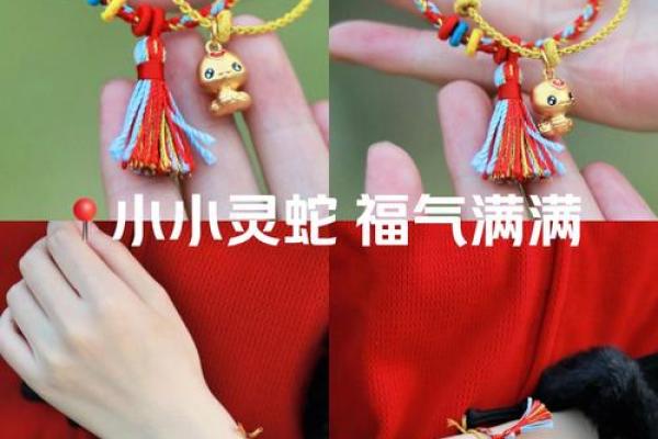 本命年蛇女如何提高财务稳定性