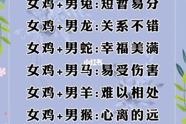 兔鼠结合能否长久 爱情中的生肖相生与相克