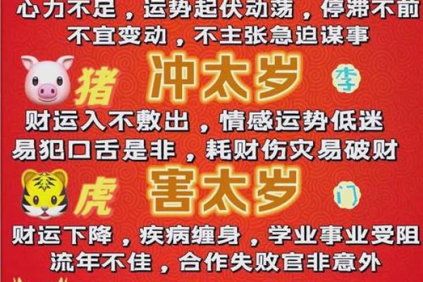 揭秘出生生肖 蛇年人的一生运势解读