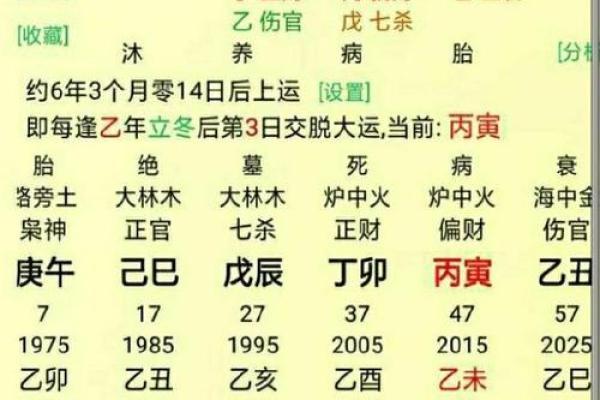 解析水中木命在八字中的表现与解读