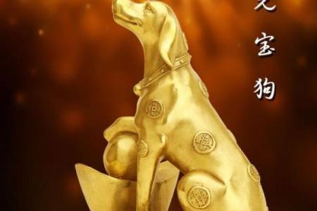 选择旺财名字，助你提升好运和财富