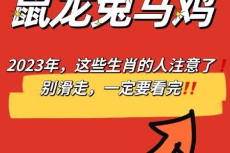 兔鼠结合能否长久 爱情中的生肖相生与相克