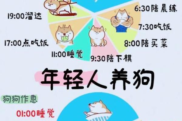 本命年狗男如何化解小人和冲突