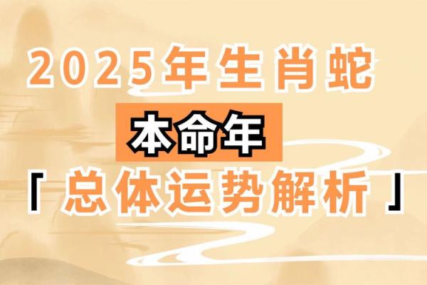 属马人在本命年如何提升个人魅力