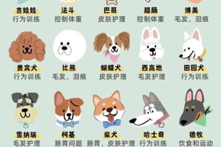 本命年狗男如何化解小人和冲突