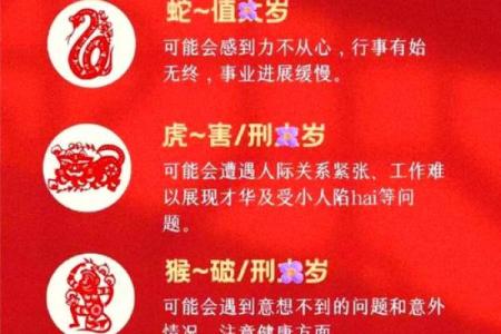 属蛇人如何利用本命年找到人生的新方向