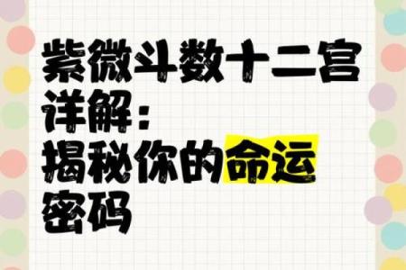 揭秘命运密码！一款高精准度的生辰八字软件，助你看透人生运势