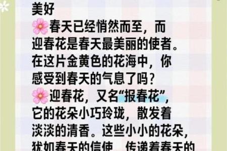 温柔的名字为她增添温暖气息，挑选最美的名字
