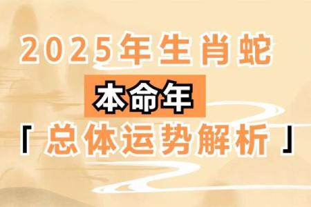 属马人在本命年如何提升个人魅力
