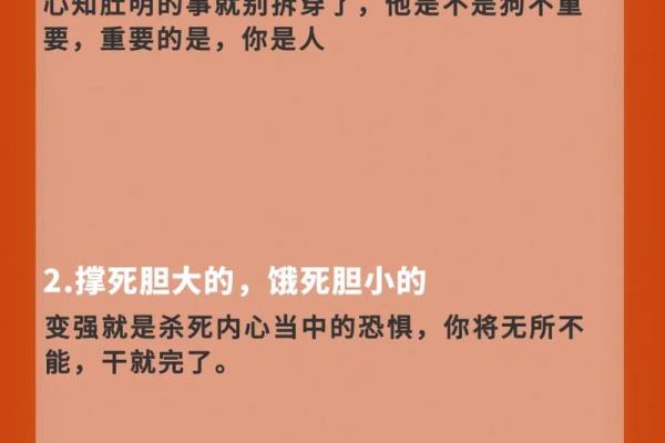 解密命运：年日对你一生的影响