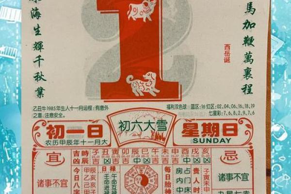 属猪本命年如何平稳渡过