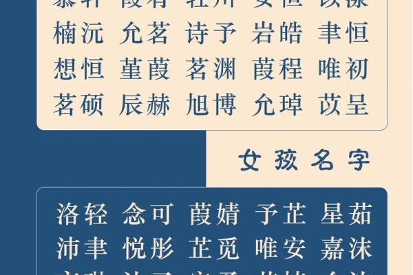 兔子名字大全：从甜美到搞笑的完美选择