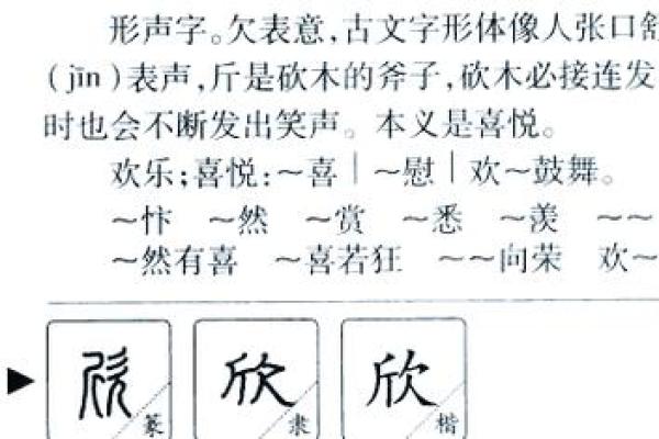 欣字取名的寓意与选用技巧揭秘