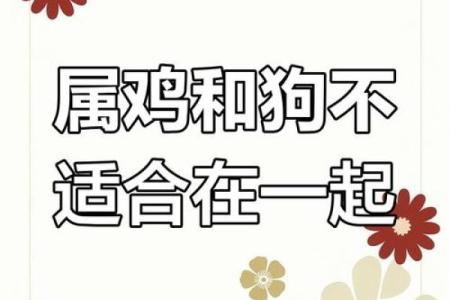 鸡羊配婚姻的幸运与挑战