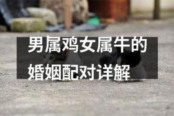 猪男和牛女的婚姻幸福指数高吗？