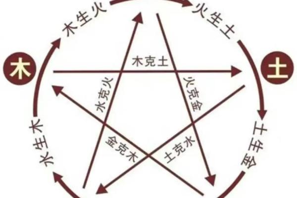 己木命的五行属性与命理解析 己木命的五行属性与命理解析